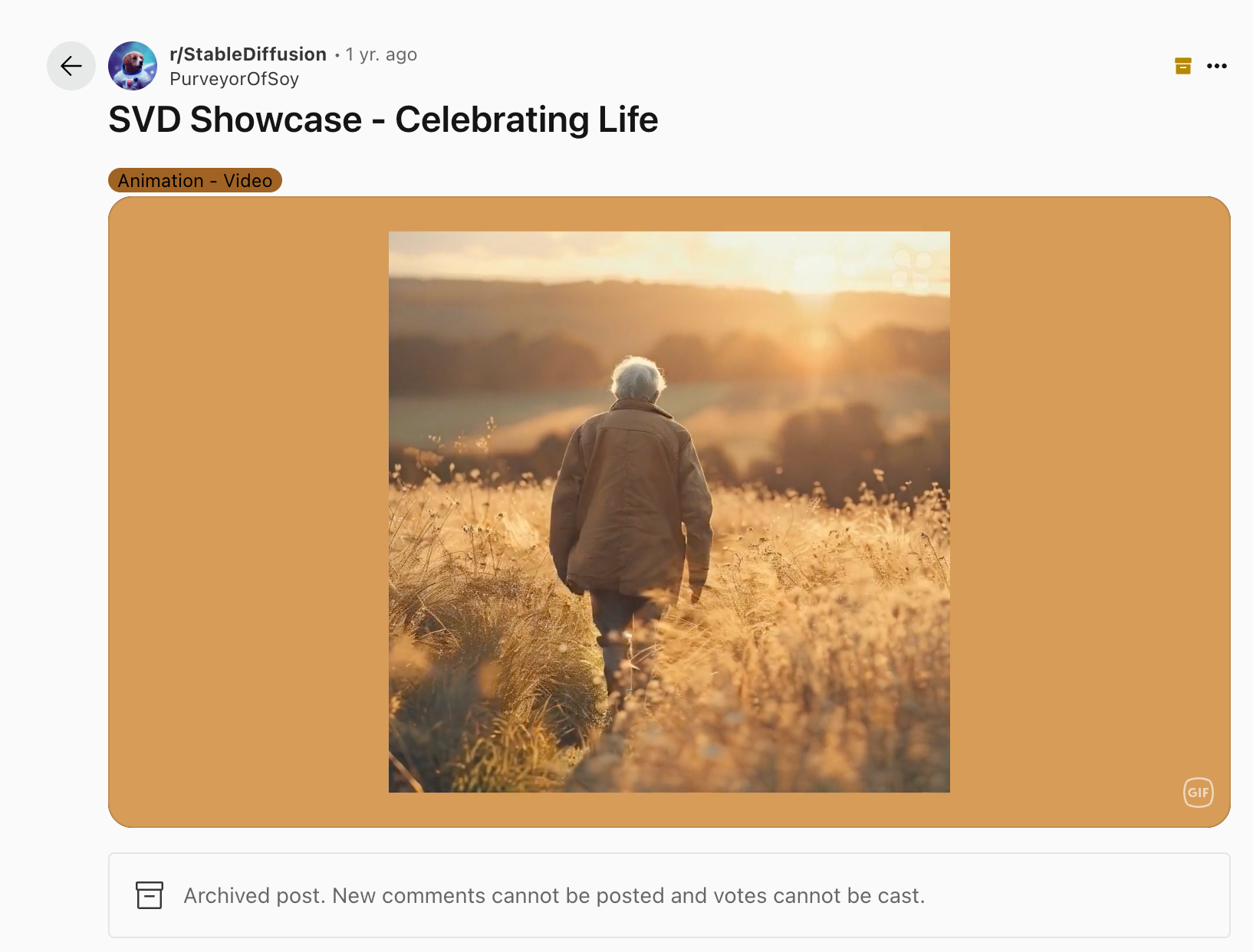 Stable Video Diffusion Real User Experiences